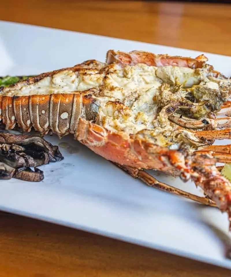 Grilled Caribbean lobster